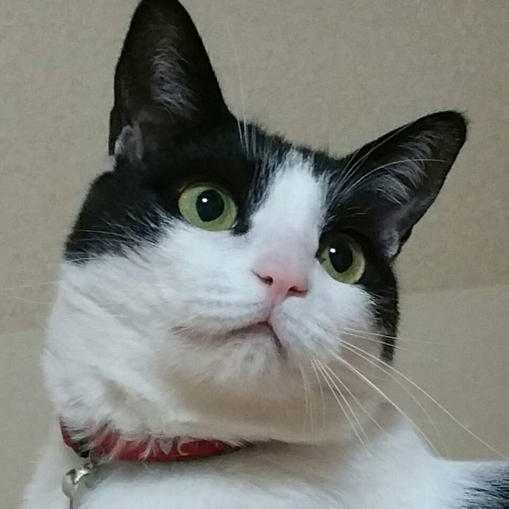 8952371a 1b12 4796 ac1c 077b5d01467c 1552695027865