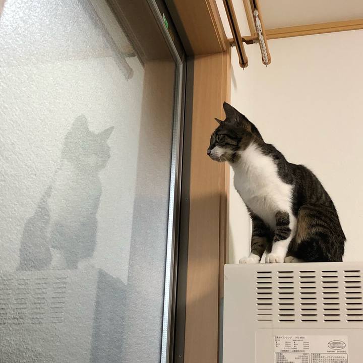 89524657 ce96 476e b08b ff116b2153ca 1523635263781