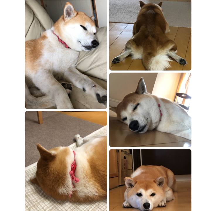 89524f2c 9824 4969 ad80 8b5c3d4f19fd 1558060077033