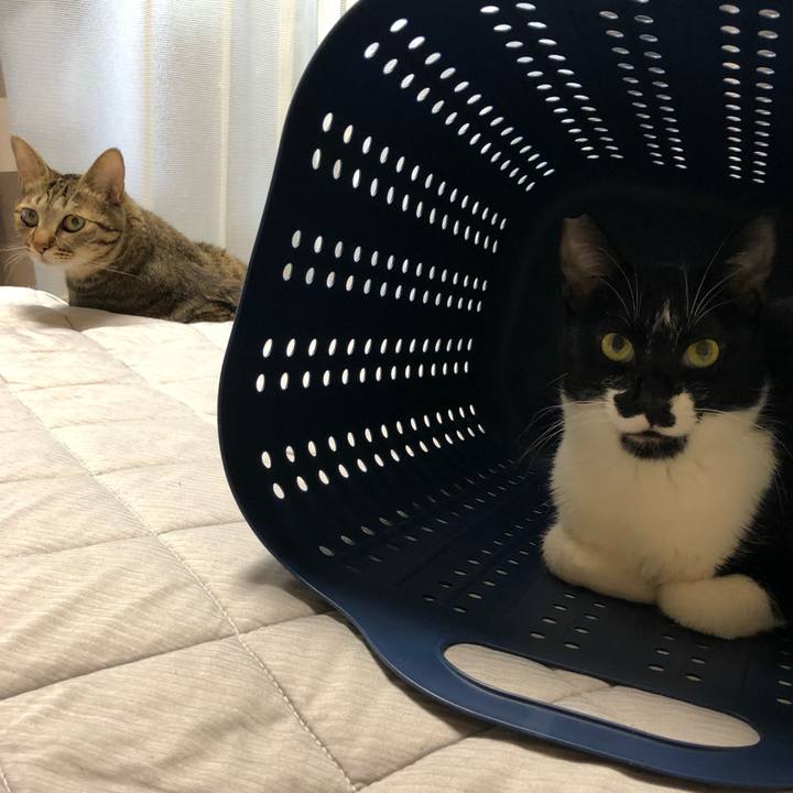 895253f7 dc80 43ee 894c 1fd7d3e4a1c6 1536333182423