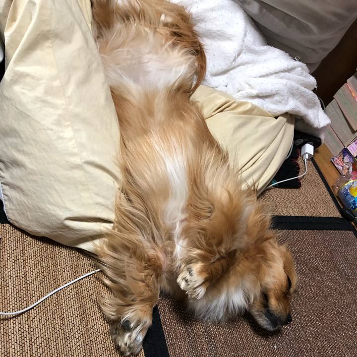 89526ce3 782e 4eb5 ad6e b0b4024336e0 1556797589439