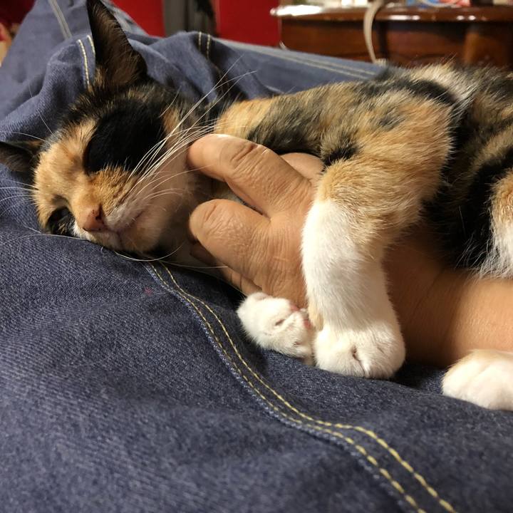 895294da 5ba3 4439 8c32 ec021bdb5233 1528289192723