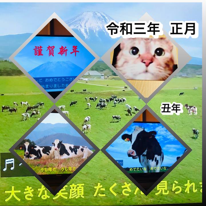 8952c942 d15f 4266 a140 ed3c420e6330 1609662401619