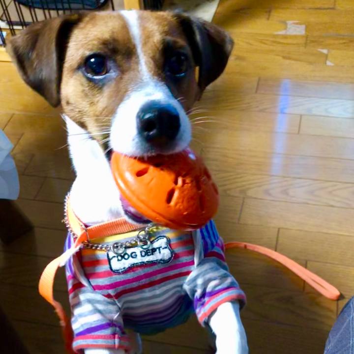 8952d06b 4d91 413e 8ad9 1fba69ee0fc1 1569317767369