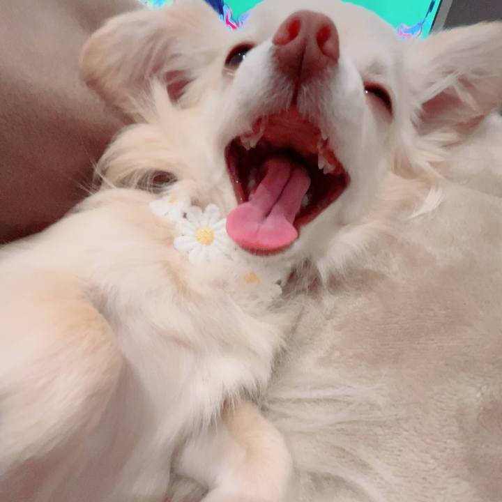 8953076a 6919 4c7a 9561 28dbd5637e0d 1712617302649