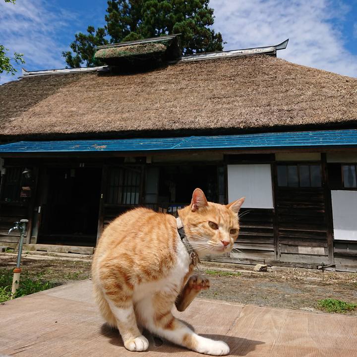 89533b9b 626d 4db3 b770 ea9a5f4e1c78 1596254348416