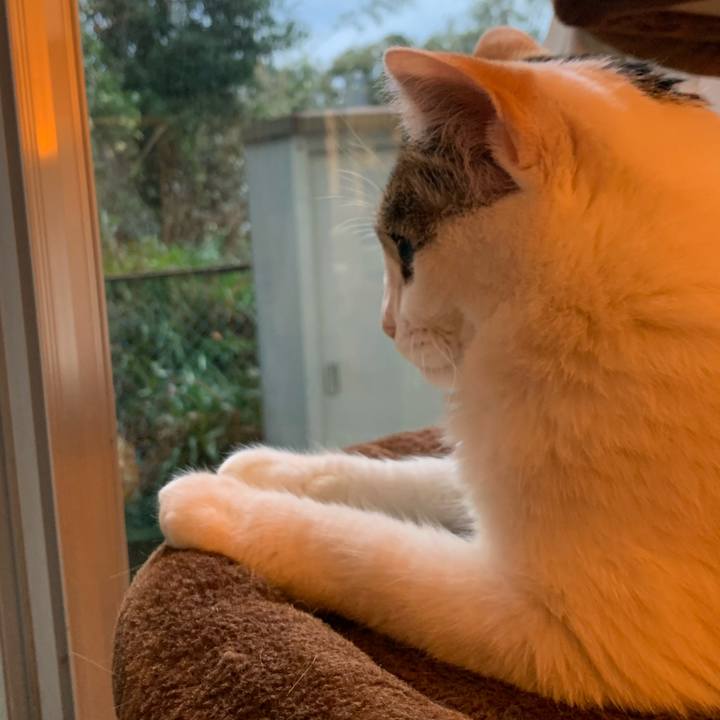 8953539d c812 4918 8cf8 b45aaeeb020c 1676025892240