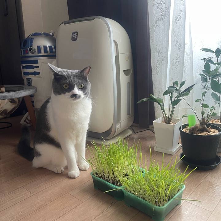 895363a3 9e68 4151 9792 e844cad340c1 1754437551395