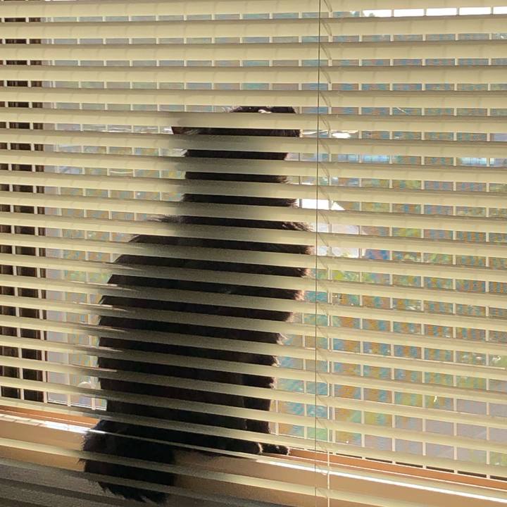 8953893c 3e53 4659 8acc 5610a3c6fdc7 1593983454033