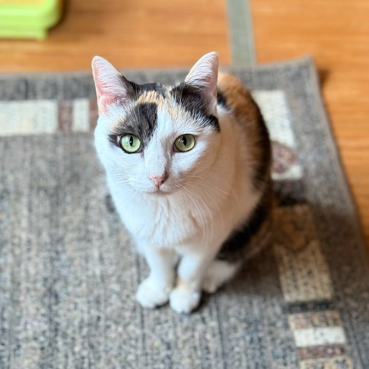 8953914d dd0f 471e 9d07 e5ae5c53e901 1762393690643