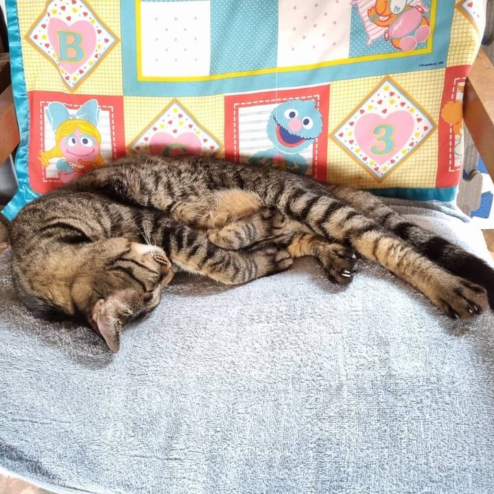 895394fd d398 4a80 98bc 17cbb67c2acf 1769506900874