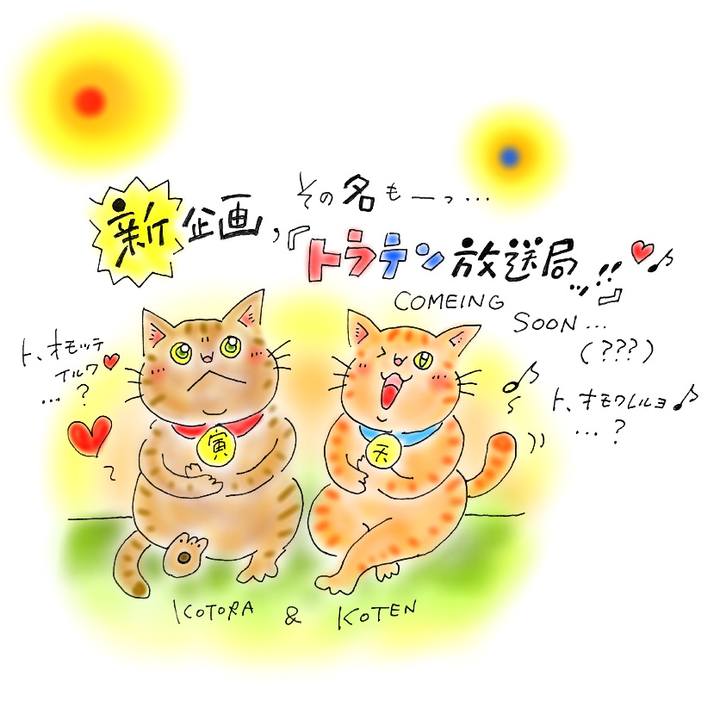 8953aff1 165d 4f29 a48c c896f77c9320 1581452650313