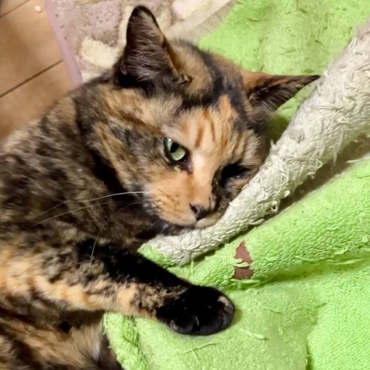 8953c74f a247 4b2c 9623 7f8f2fdc8c70 1734721878284