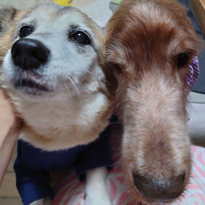 8953c802 0ffa 48ac bf1b 21625b74f669 1734609398012