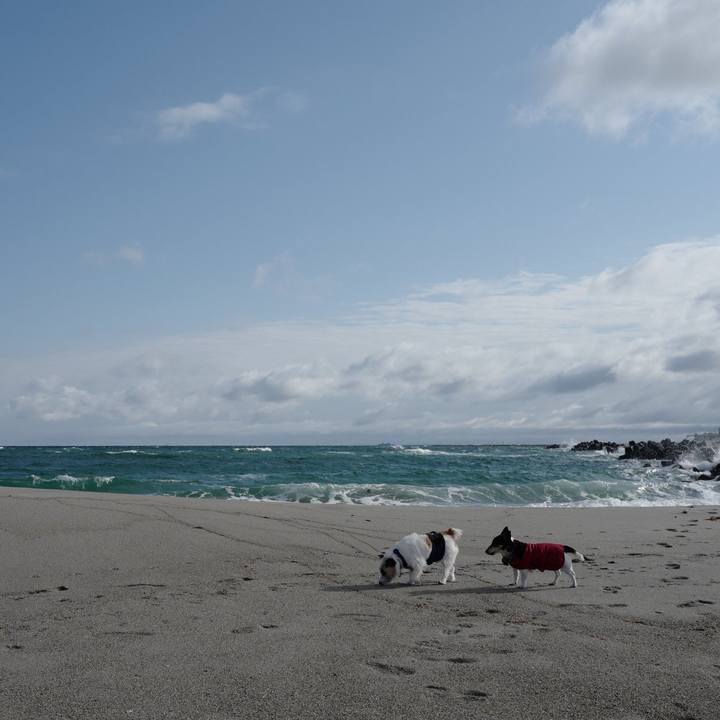 8953f97a 0243 497e 8bb1 27479a7224dd 1554955608088