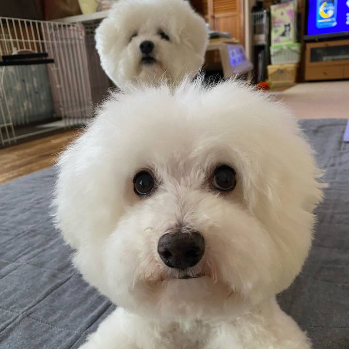 89541271 2fbb 4085 9750 cea731ad3992 1657529212024