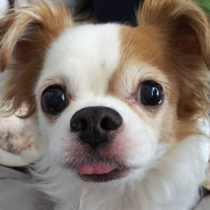 8954385b 20b6 4d59 9c2d 2182142d1c42 1521606068509