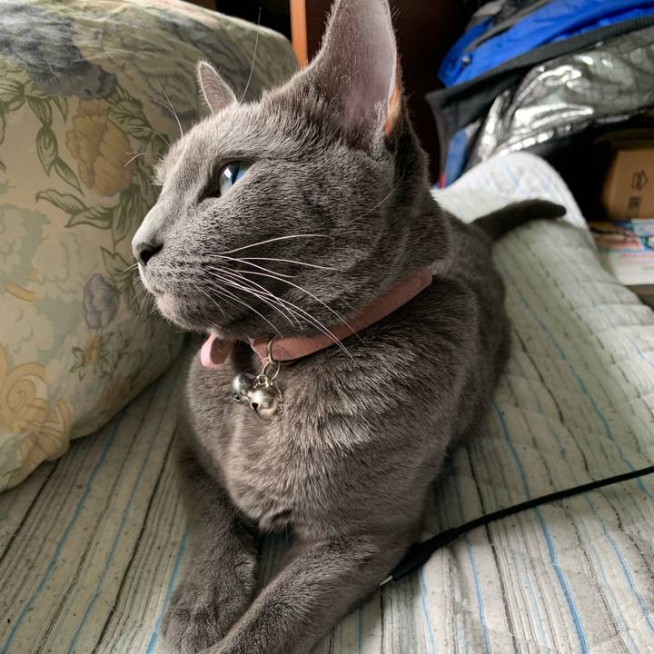 89543d42 850f 4ab2 93de 4d1549e05c04 1588554551899