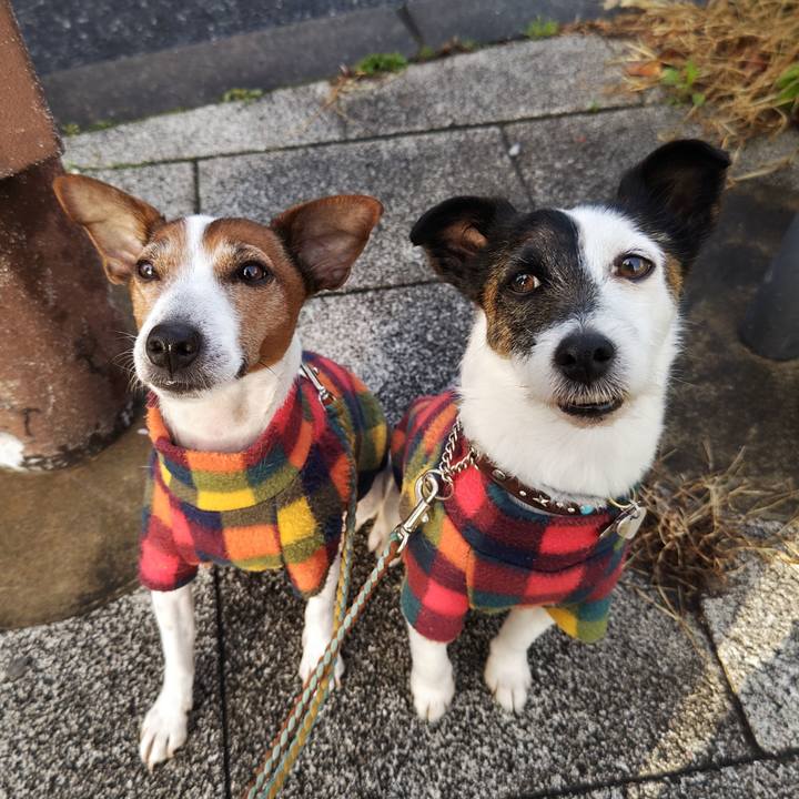 8954442b acab 43f6 9a06 e1f8a7936378 1742162832699