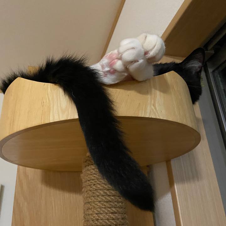 89544b73 9154 49e3 b54d 4f4ca2e76f65 1660577711619