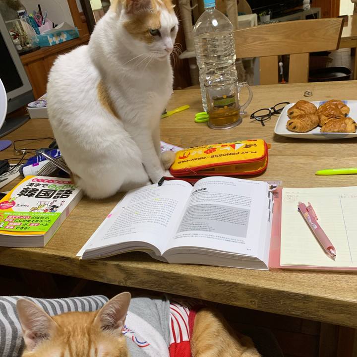 89547c27 7481 4e37 af14 736d7754d003 1617497268751