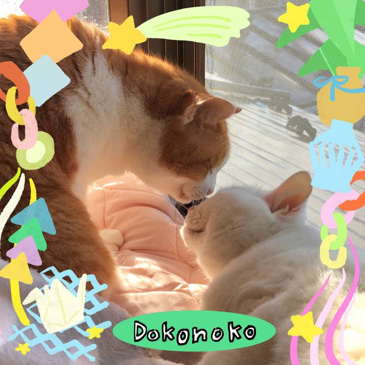 8954a9ea c04a 4efc 8427 5a88cce3d31d 1755082496972