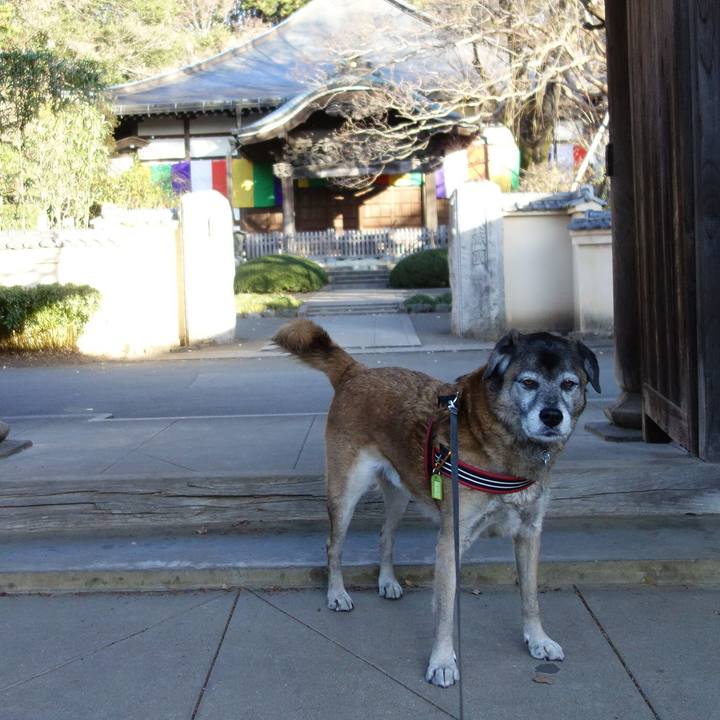 8954ba9b 3659 4190 be08 7164b4edbaca 1546215757975