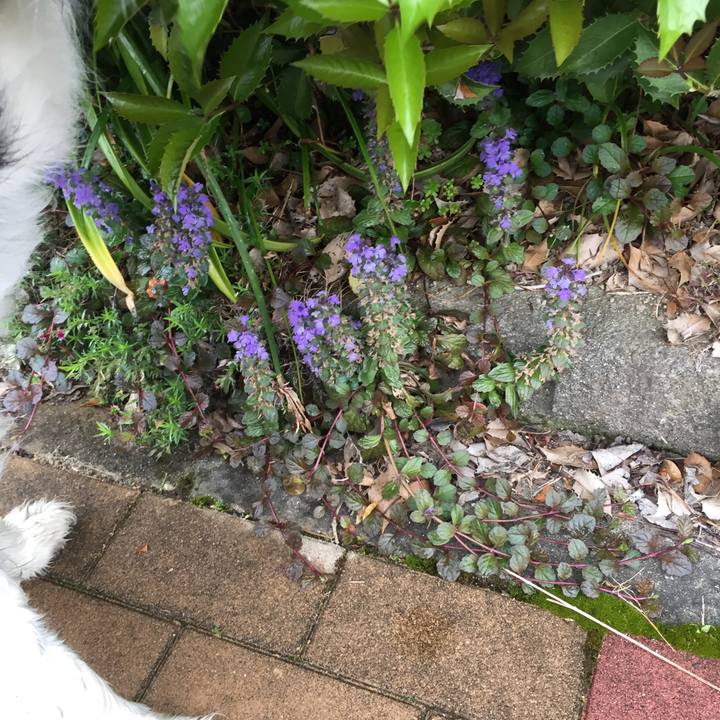 8954bf2b 013d 41b6 bb95 dbc861a72772 1556499793244