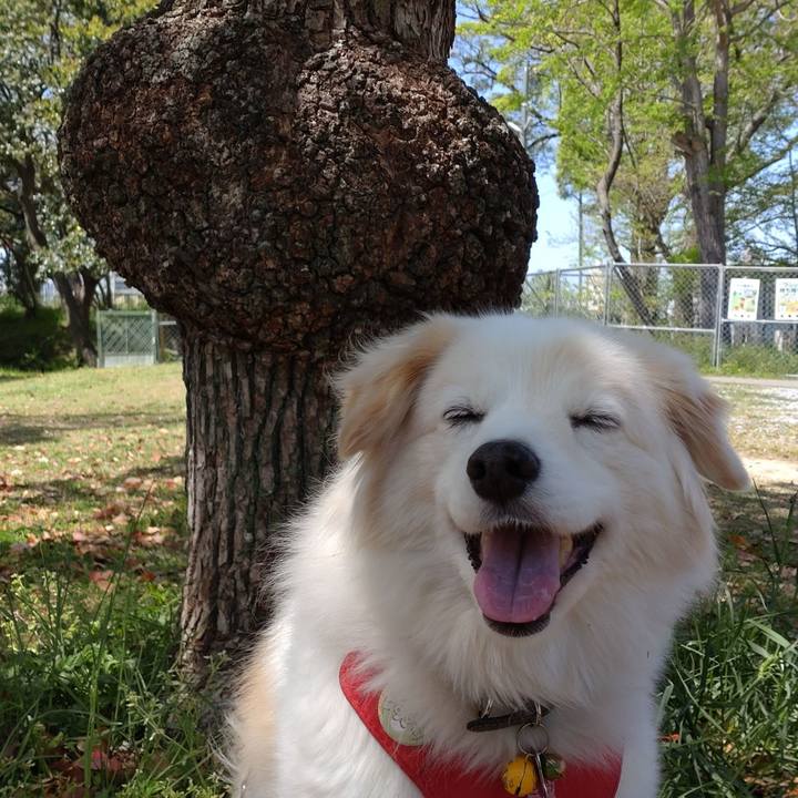 8954d339 403c 4b5e 9183 b22d2212a4fe 1665291844415