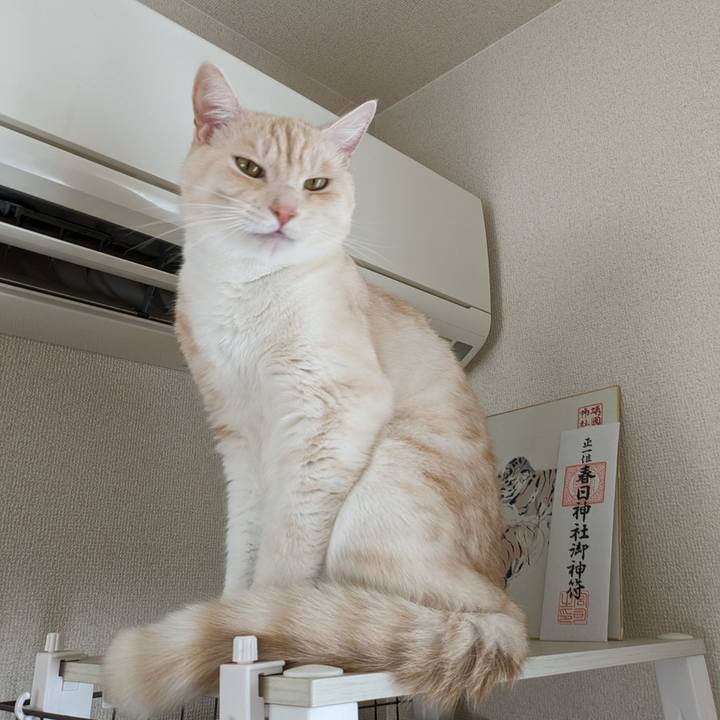 8954e0b9 c7e2 4317 9825 154d1e3dc6c9 1692746576280