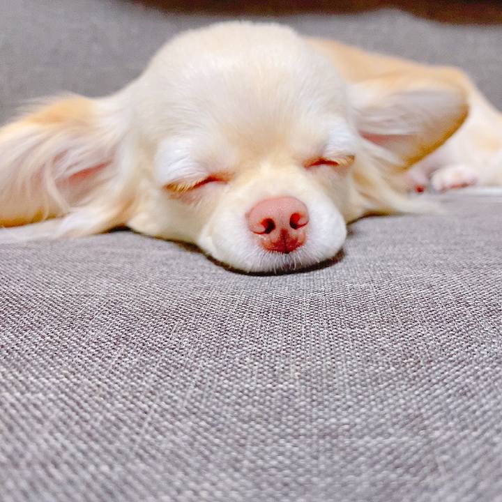 89550760 5eb6 4d24 ac3d caa4418b6f25 1627986074771