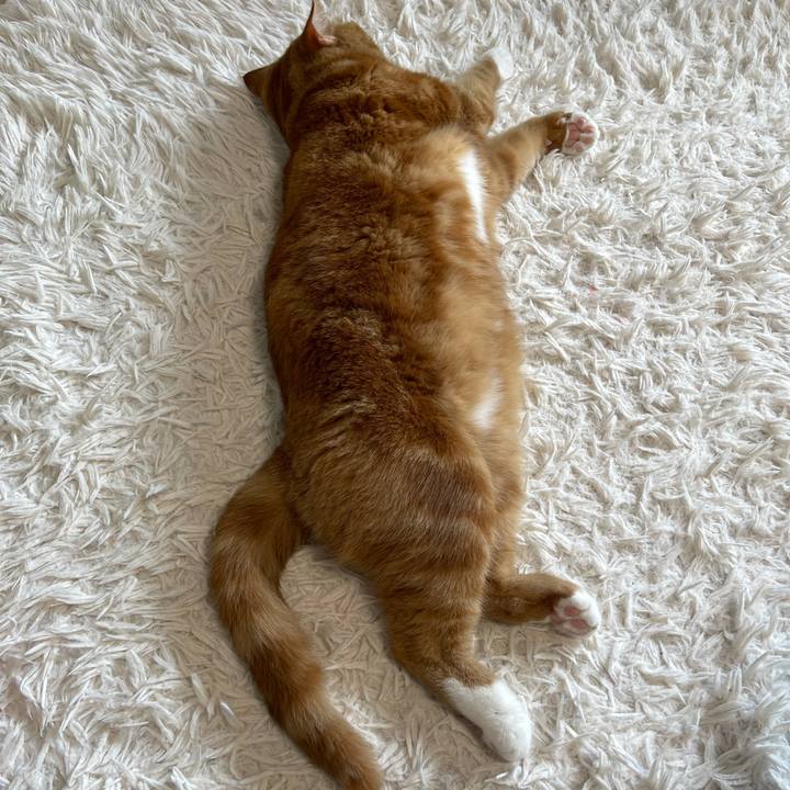 89559cff 1e15 42f7 a1e7 e3208b39a365 1626584771977