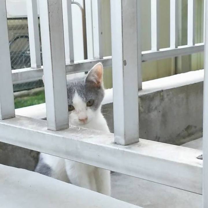 8955ad3f cd53 4b55 8c25 6673c6efb3ca 1562387591522