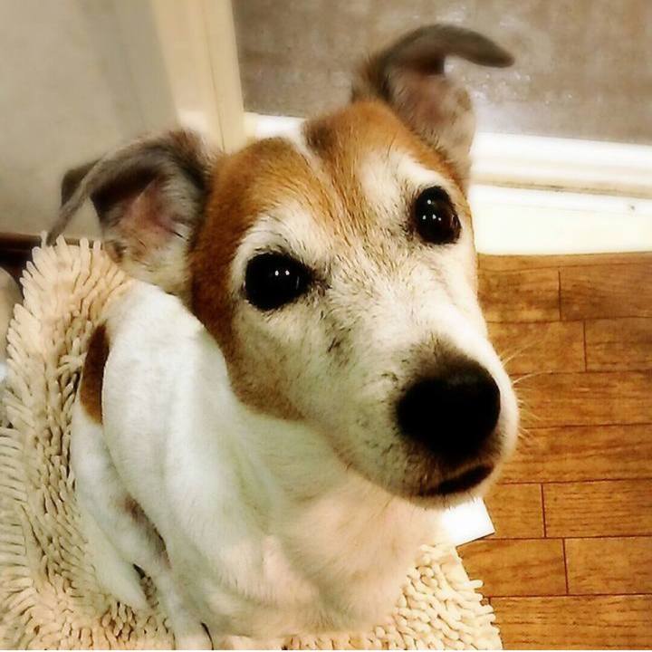 8955ca54 918a 46f0 9593 c63859f9c9d8 1762160688194