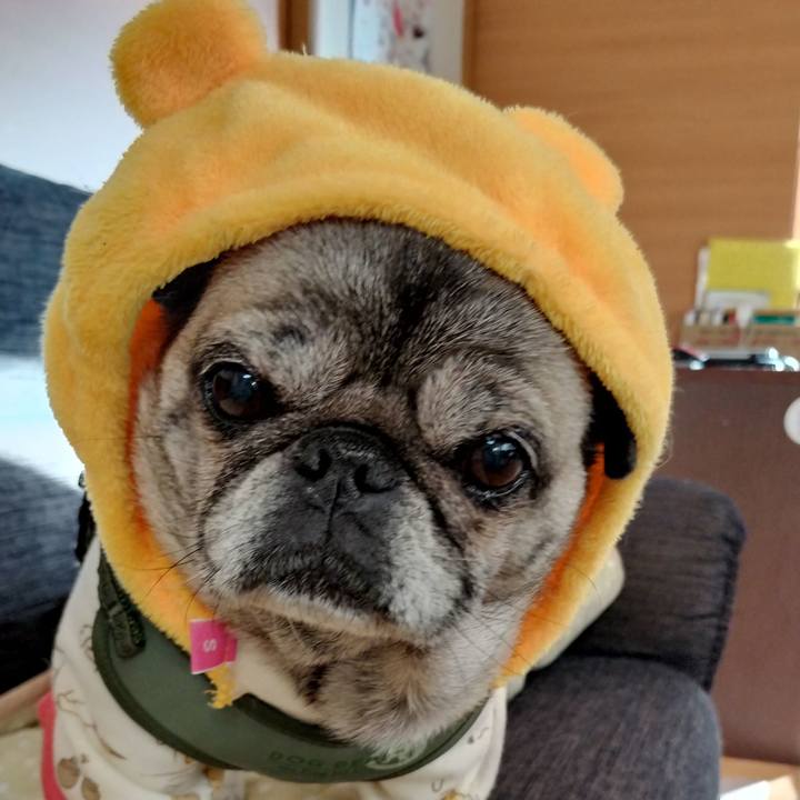 895627af 8a60 444e 9a8e 885b12763322 1765194445713