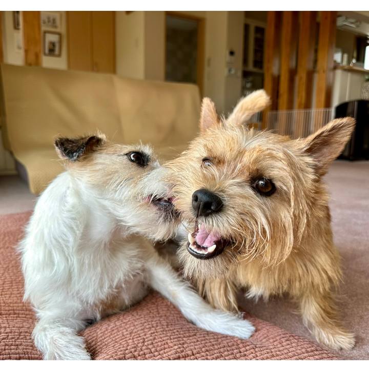 89563dae dbb9 4df2 bb50 34bb8bcb998a 1748844989673