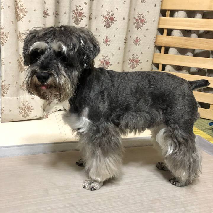 89564265 ef51 4c5f 848a a082587ac9c0 1621515815813