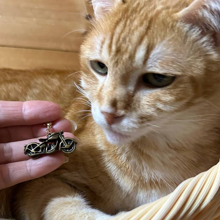 89566d9f d98c 4342 8412 bfdbd32daac3 1680521414398