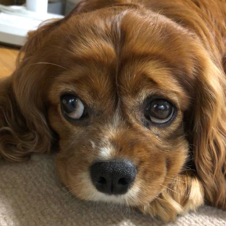 895679c6 6580 4ff1 a0db 92ef6c306f39 1651067007132