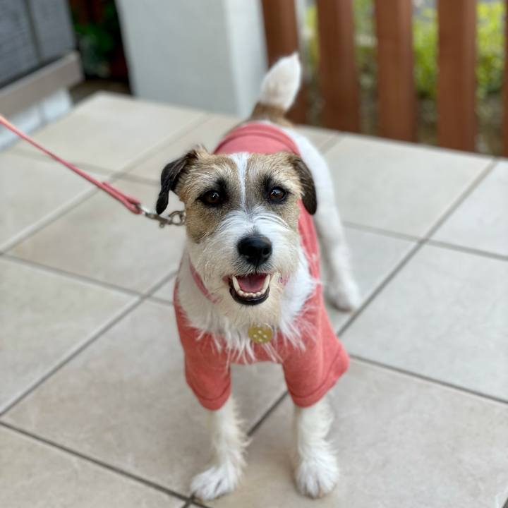 89567f8f a1fb 4c4d 8d76 97e9293d0787 1624606326772