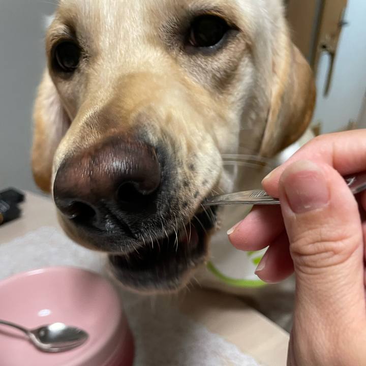 895683f5 ed72 4983 9530 d5775e3c71b8 1651277541304