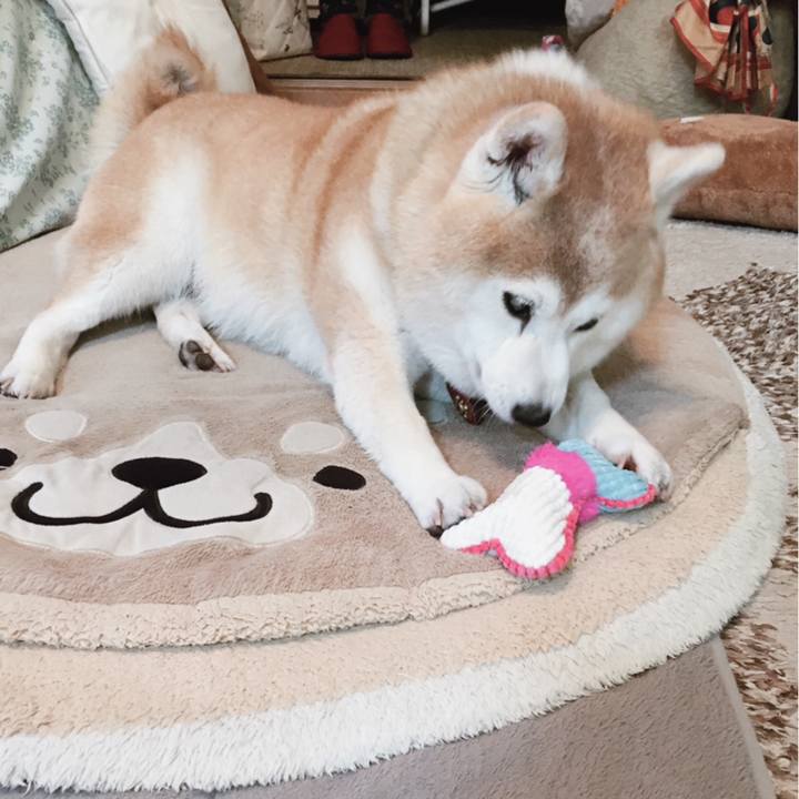 8956af9d 66c6 49f2 ba1e 27e329ba0b4a 1610079511639