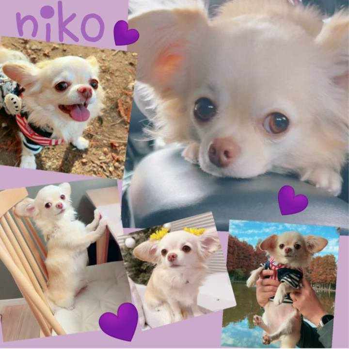 8956d55e 3f97 4ae8 bb91 75652216db7b 1702087201119