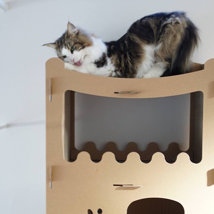 8956e754 07ab 4131 a343 619e3fa8127e 1581211705629