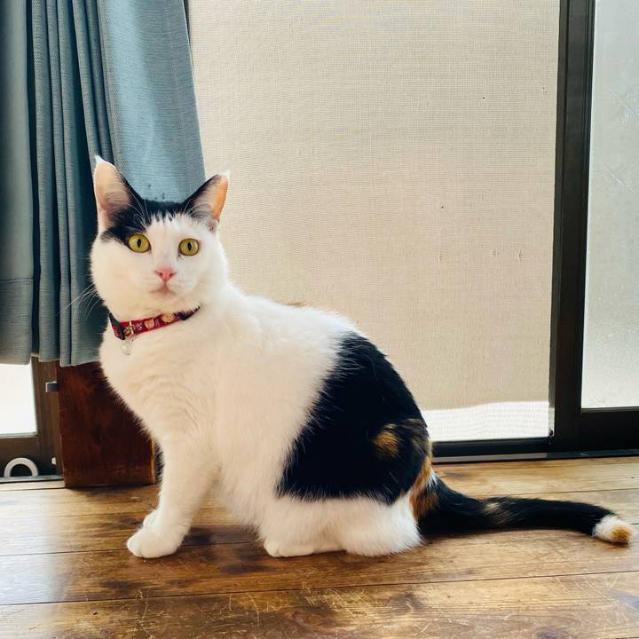 8956f57a dc06 481a b15b 7c315409aafb 1684063302226