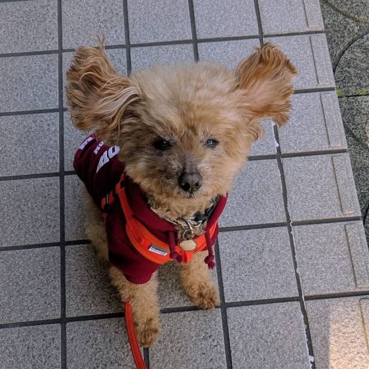 895722b4 c53b 4d82 94d1 2e75356c6c8d 1774308213112