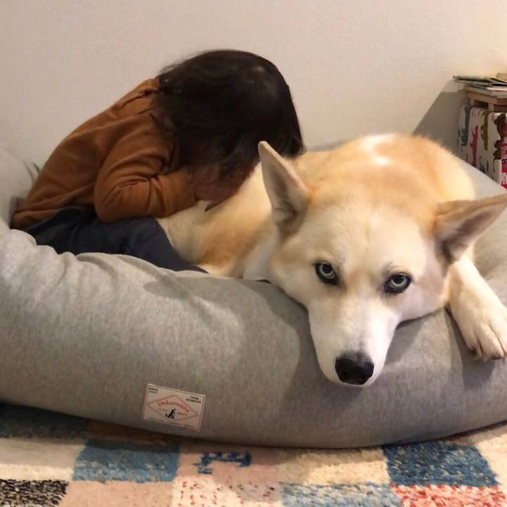 89572f4b 9e15 41d8 bfa0 0219acd1a4e3 1548145904516