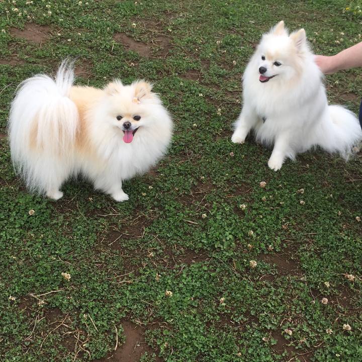 895761eb d595 43a1 bfa8 8400b8cc487f 1556784043457