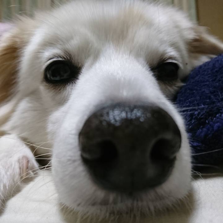 8957683b 6f54 4635 a1b5 6269d78dde9b 1639517791888