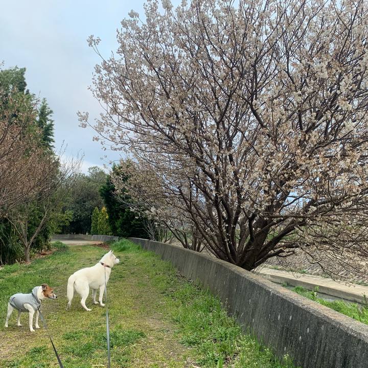 89576b0d 6aba 4a68 9481 af242ea3ce9a 1553334140756